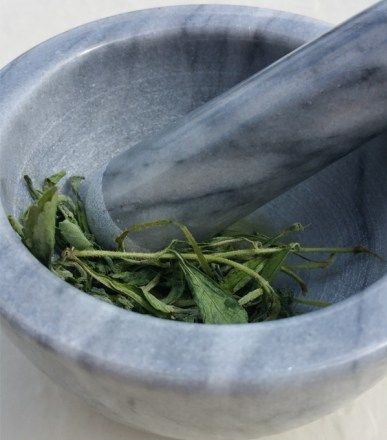 شیرین کننده طبیعی استویا